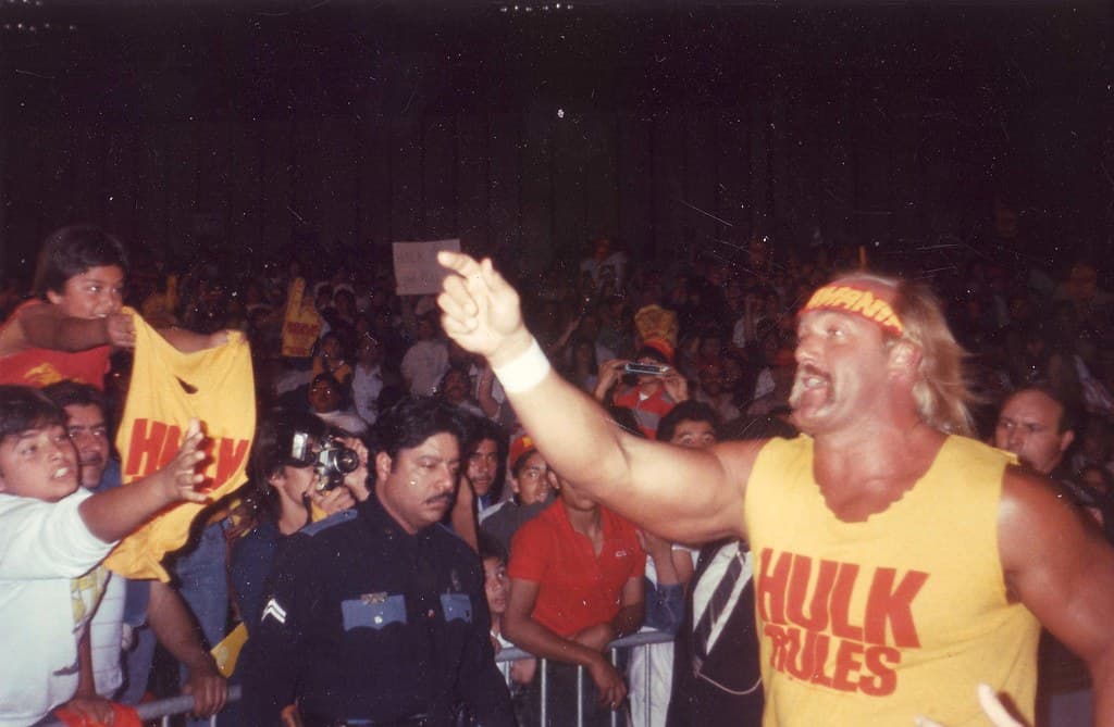 Hulk Hogan's TNA Meltdown: Dark Side of the Ring Pulls Back the Curtain on Dixie Carter's Chaos