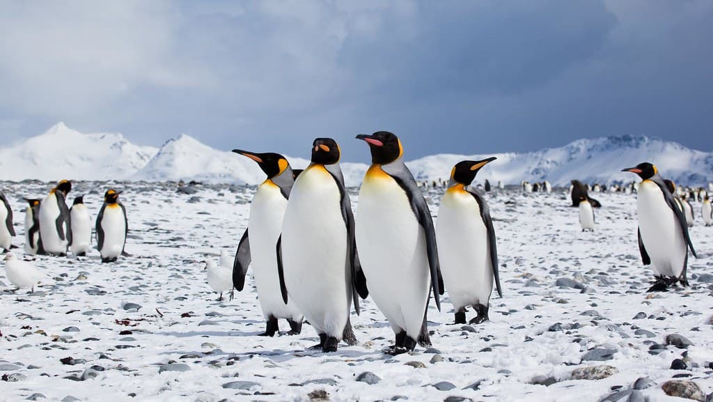 Colin Farrell: The Penguin Season 2 Must 'Justify' Itself